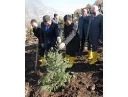 Abdullah Gül Adına 10 Bin Fidan Dikildi