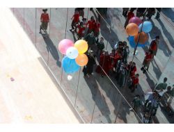 Özel İlkbahar İlköğretim Okulu Öğrencileri Yumurtaları Paraşütle Uçurdu