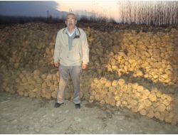 Simav'da Bu Yıl Şeker Pancarı Verimi Düşük