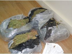 Eş Zamanlı Kaçak Sigara Operasyonu