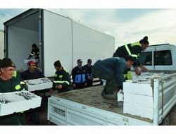 Tuzla Belediyesi’nden Semt Sakinlerine 40 Ton Hamsi