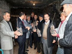 Midyat'ta Çiftçilere Nar Ve Fıstık Fidanı Dağıtıldı