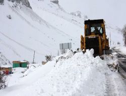 Erzurum'da Kar Yağışı:  61 Köy Yolu Ulaşıma Kapandı