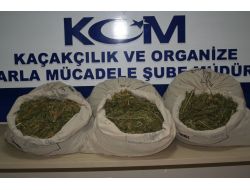 Ardışık 2 Operasyonda 133 Kg. Esrar