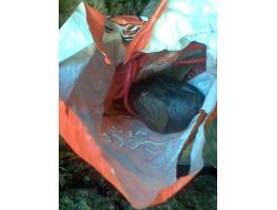 Hakkari'de 8 Terörist Etkisiz Hale Getirildi