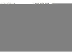 Afyonkarahisar'da 55 Bin Kase Aşure Dağıtıldı