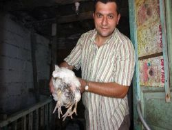 4 Bacaklı Tavuk Görenleri Hayrete Düşürüyor