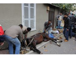 Büyükada’da Fayton Devrildi: 1 Ölü