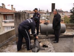 Geçen Sene En Fazla Soba Zehirlenmesinin Yaşandığı Gaziantep'te Tedbirler Arttı