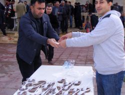 Viranşehir’de 2 Bin Kişiye Aşure Dağıtıldı