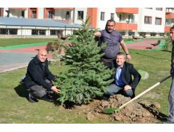 Yakutiye Belediyesi 5 Bin Ağaç Dikecek