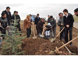 Engelliler, Yozgat’ta 3 Bin Fidanı Toprakla Buluşturdu