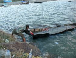 Lodos Dalyanı Patlattı Tonlarca Balık Denize Kaçtı