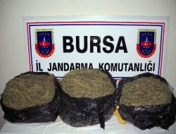 Uyuşturucu Tacirleri Narkotik Köpeği Ramiz'e Takıldı