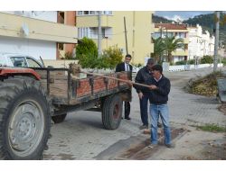 Altınoluk Belediyesi Hava Şartlarına Karşı Tedbirlerini Arttırdı