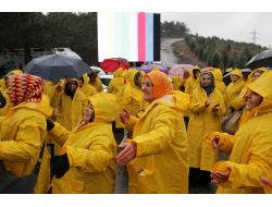 Ak Partili Kadınlardan İstanbul’da 800 Bin Ağaçlık ‘ak Orman’ Hamlesi