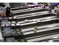 Burdan Yumurta (Sadece Foto İçin)