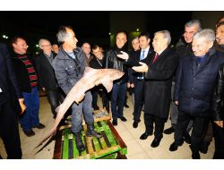 Kocaoğlu Ve Demirtaş, Güneş Doğmadan Halleri Gezdi!