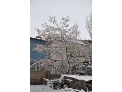 Erzurum Beyaza Büründü