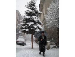 Sarıkamış'ta Kar Yağışı Etkili Oluyor