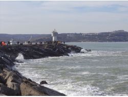 Denizde Can Veren Kaptanın Yakını: Niye Gittin Cemil?