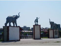 Hayvanat Bahçesi'ni 3 Senede 495 Bin 199 Kişi Ziyaret Etti