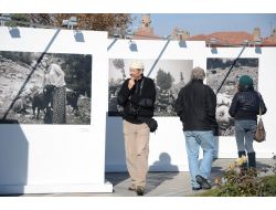 Mevlana’nın Ziyaretçileri, ‘türkiye’de Zaman’ Fotoğraf Sergisine Hayran Kaldı