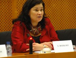 Ap Milletvekili Bozkurt: Türk İşçi Hakları Kesintiye Uğratılmak İsteniyor