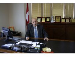 Tarsus Zeytinde Türkiye Lideri Olmak İstiyor