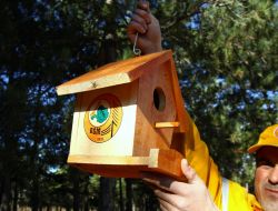 Yabani Kuşların Yuvasını Devlet Yapıyor