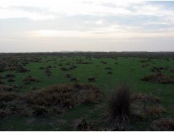 Doğa Derneği: Aziz Kocaoğlu, Kaş Yaparken Göz Çıkarmamalı