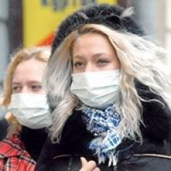 Domuz Gribinde Ölü Sayısı 415'e Yükseldi!