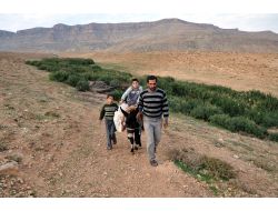 Su Taşımak İçin Aldığı Eşeğin Taksitini Kaymakam Ödeyecek