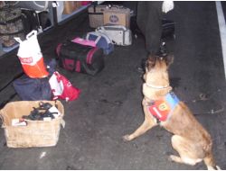 Terör Örgütünün Gelir Kaynağı 11 Kilo Esrar Ele Geçirildi