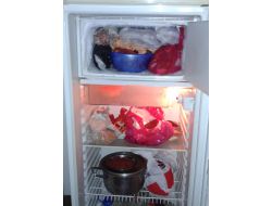 Buz Dolabında Yaban Keçisi Eti Bulunan Köylüye 13 Bin Tl Ceza Kesildi