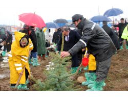Bolu'da Ak Kadınlar Ormanı Oluşturuldu