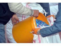 Mavi Kapağın, Tekerlekli Sandalyeyle Umuda Dönüşen Hikayesi