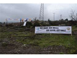 Ak Parti Çanakkale İl Kadın Kolları 12 Bin Ağaç Dikti