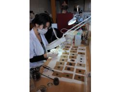 Side Müzesi'de 10 Bin Tarihi Sikke Taramadan Geçirildi