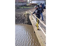 Suyu Kirlenen Derede Balık Ölümleri Yaşanıyor
