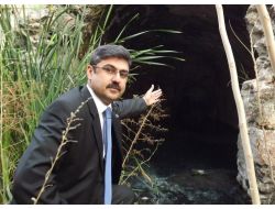 Bbp’den Batık Hamam Tepkisi