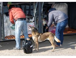 Uşak'ta Yolcu Otobüsünde 750 Gram Toz Esrar Ele Geçirildi