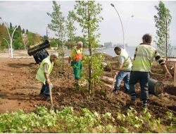AĞAÇ TİMİ GÖREV BAŞINDA