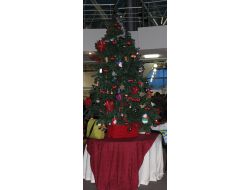 Büyükelçi Eşleri Kimsesiz Çocuklar İçin Seferber Oldu