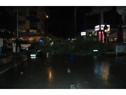 İzmir Şiddetli Yağış: Yollar Çöktü, Ağaçlar Devrildi!