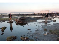 Osb’nin Atık Suları, Dereye Ve Hayvanların Otladığı Meraya Bırakılıyor