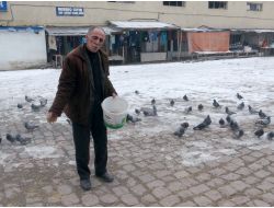 Ardahan'da Aç Kalan Güvercinleri Esnaf Besliyor