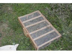 Suriyeliler Tarsus’ta Kaçak Av Yaparken Yakalandı