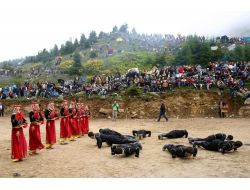 Yayla Şenlikleri Ve Festivaller Daha Geniş Kitlelere Tanıtılacak