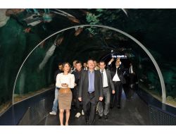 Melih Gökçek, Yeni Kuracağı Park İçin İstanbul Akvaryum'u Gezdi